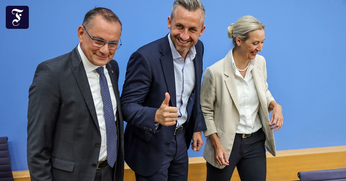 AfD in Saxony-Anhalt: Who governs with Ulrich Siegmund?