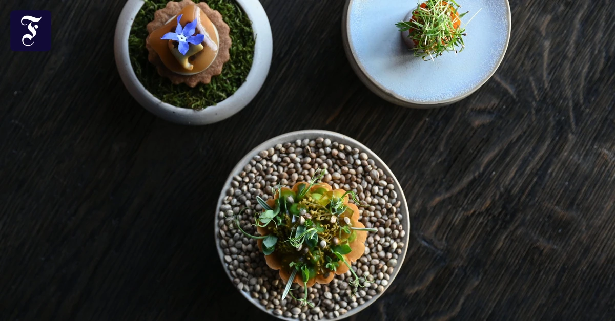 test-der-app-hidden-table-schnupperpreise-f-r-sternek-che