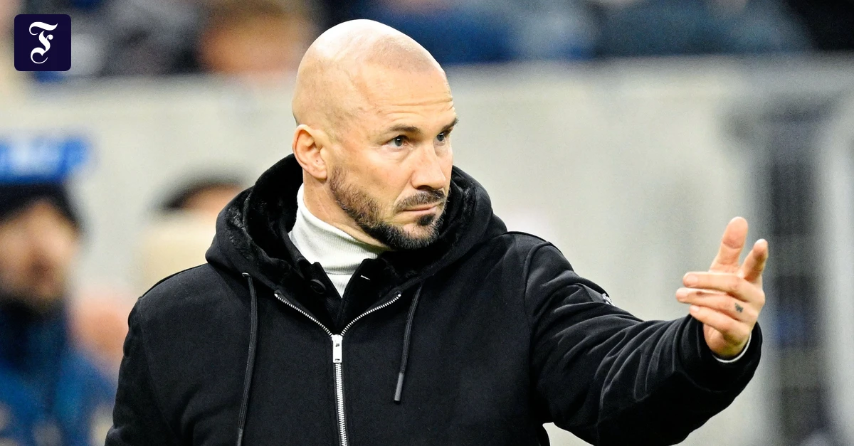 Hoffenheimer-Aufschwung-Zwei-erntende-sterreicher