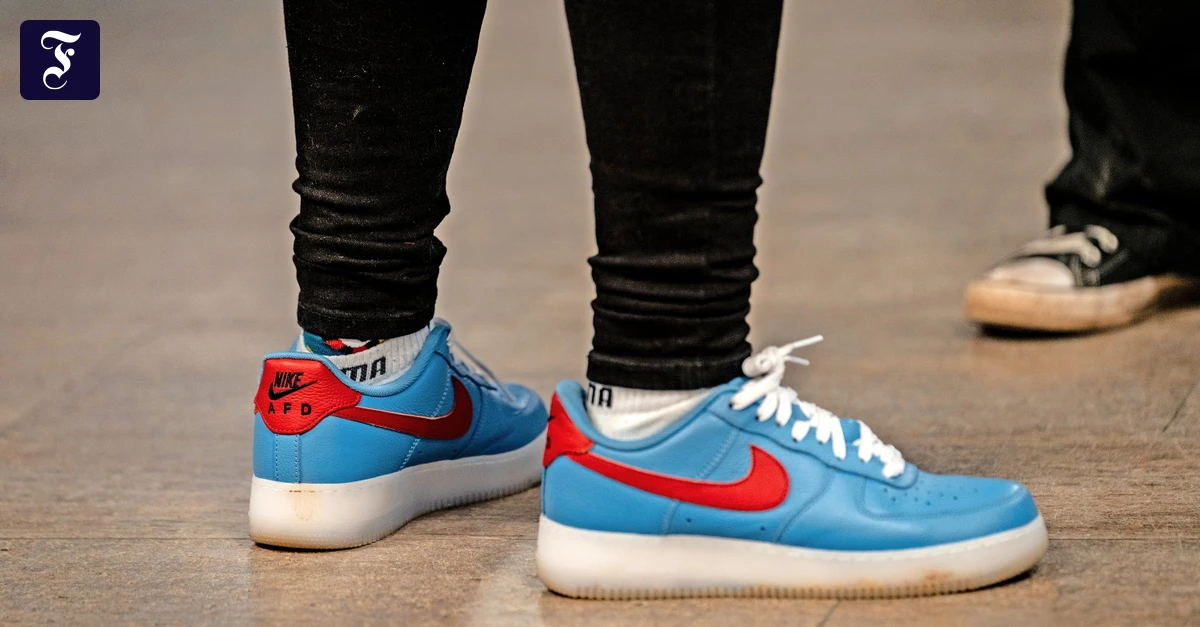 Politisches-Merchandising-Mit-Markenrecht-gegen-die-AfD