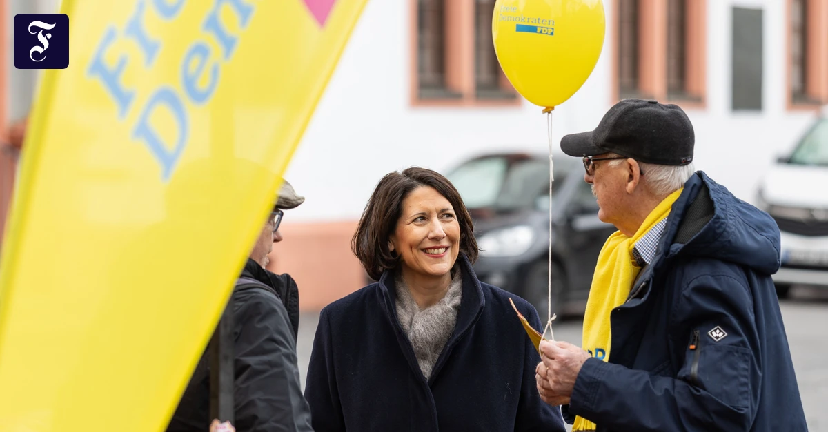Rheinland-Pfalz: Auch wo sie still regiert, leidet die FDP