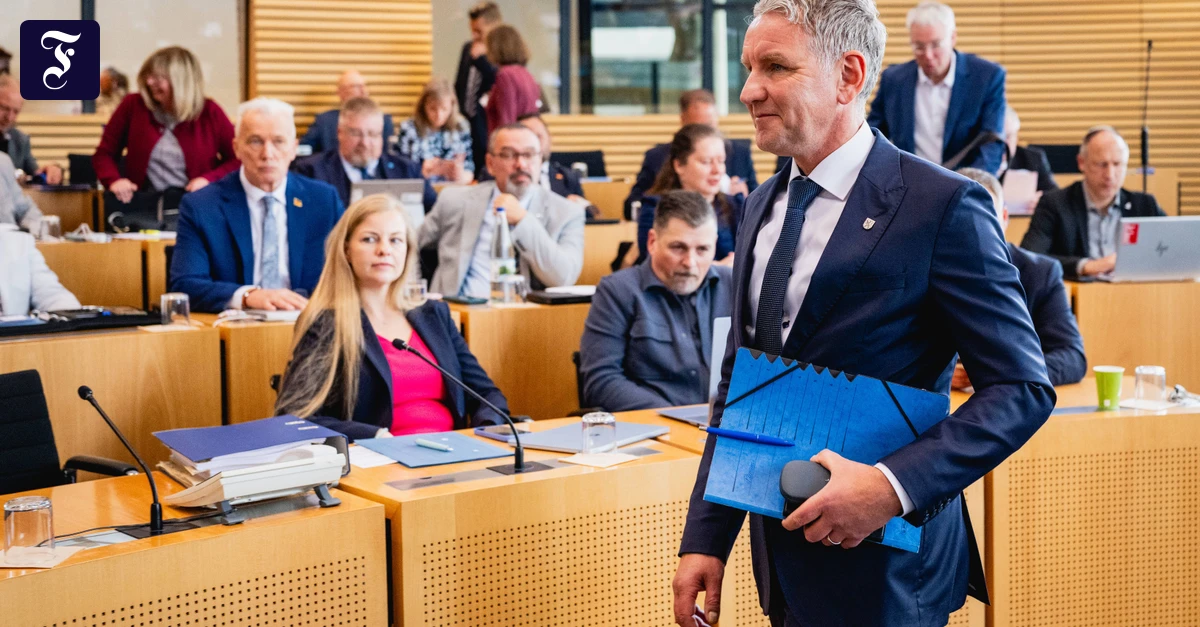 Vor dem AfD-Parteitag: Wie stark ist Höcke?