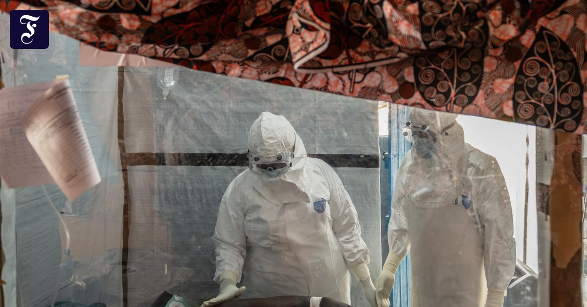 Erster Fall im Land: Arzt kehrt mit Ebola-Infektion nach Frankreich zurück