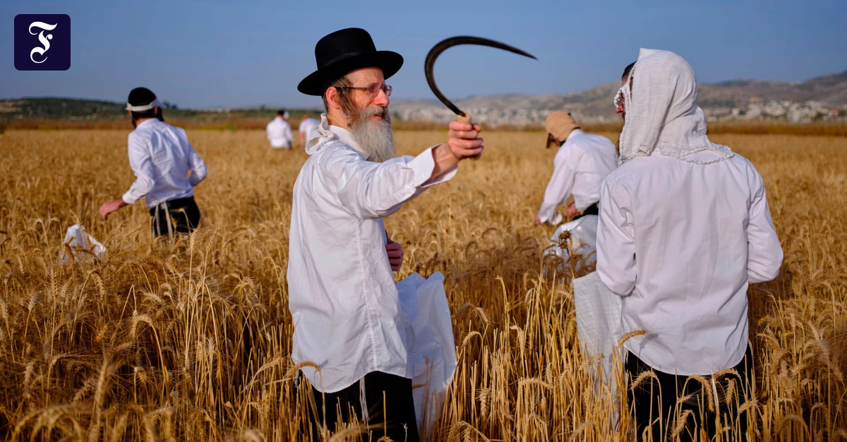 Als israelisch deklariert: Wie Waren aus Siedlungen beim Export in die EU begünstigt werden