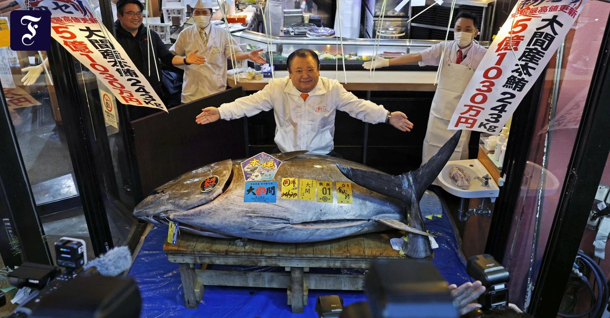 Gastronom ersteigert Blauflossenthun f&uuml;r 2,8 Millionen Euro