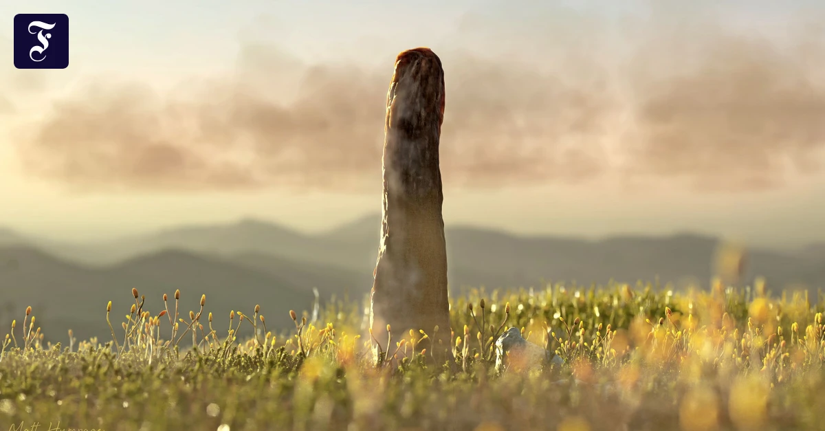 Mehr-als-Acht-Meter-Phallisch-im-Erdaltertum