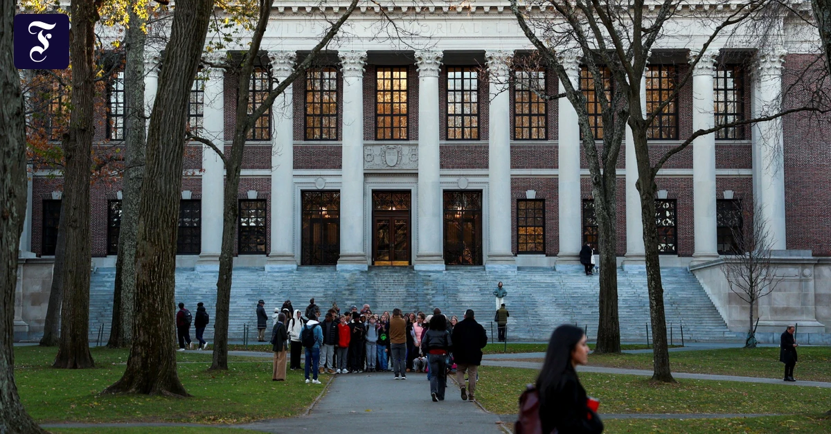 Schreibkurse und KI: Harvard schadet seinen Studenten