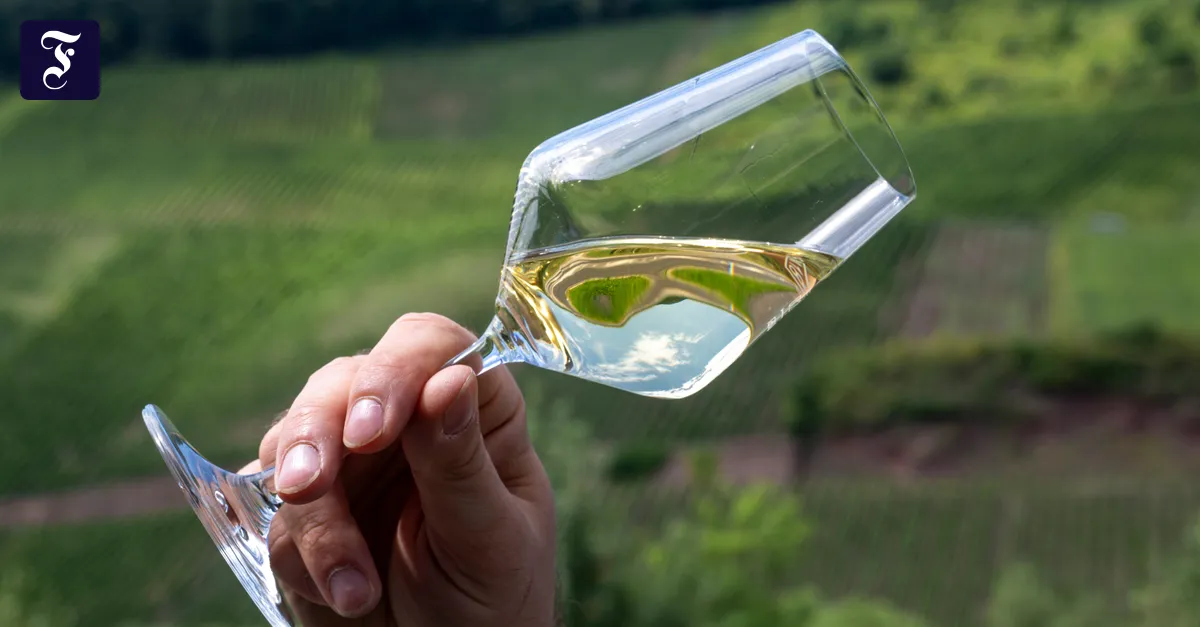 Dieser Wein schmeckt im Frühling am besten