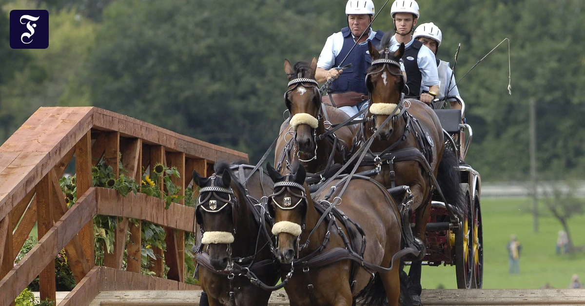 Alles-au-er-Fu-ball-WM-S-e-Tr-ume-vom-Sportsommer-2026