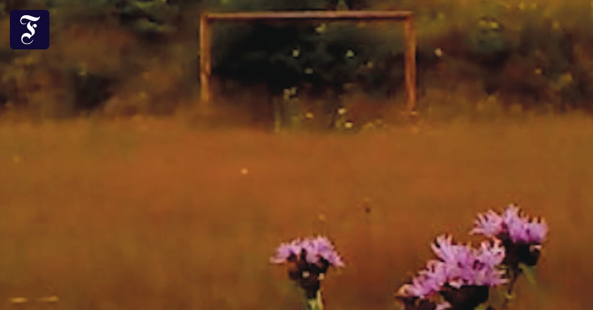 „Dry Leaf“ im Kino: Das Spiel, das uns Halt gibt