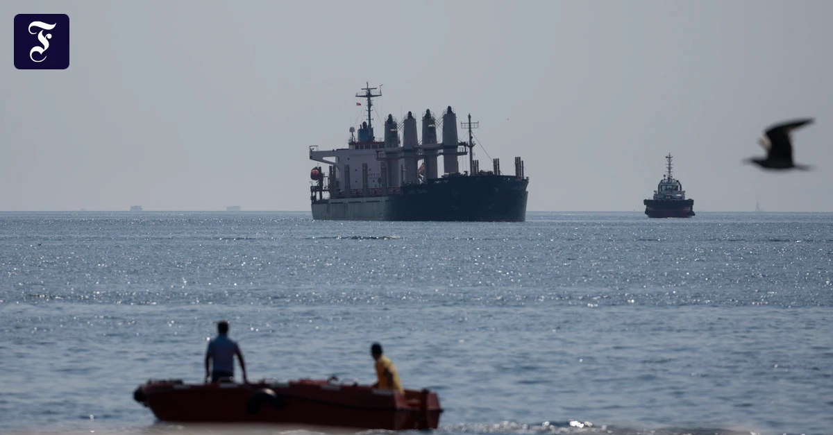 Krieg in der Ukraine: Kiew meldet russische Angriffe auf zwei Frachtschiffe im Schwarzen Meer