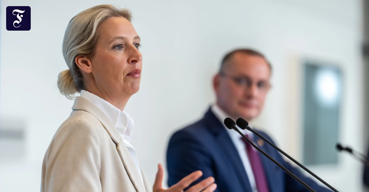 Old-age security: The AfD and pensions - | unsustainable promises
