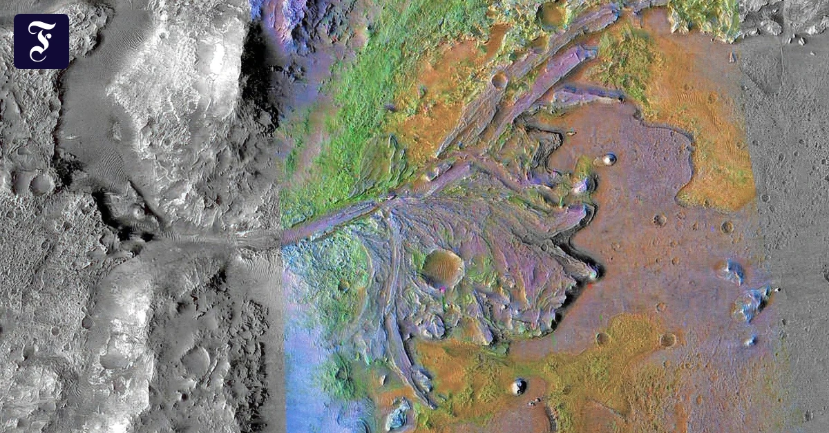 Leben im Weltraum: „Auf dem Mars würden die Menschen schrumpfen“