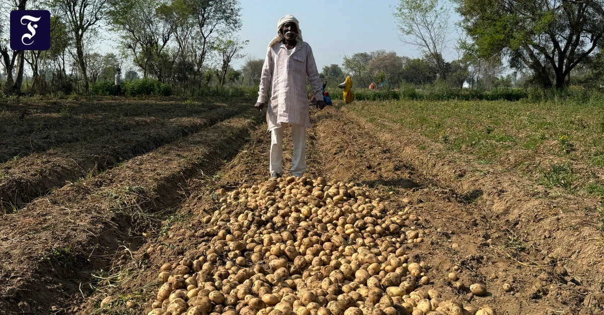 Irankrieg: Die Welt steht vor der Düngerkrise