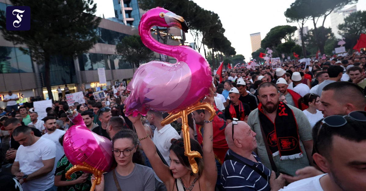 Trump-Pläne für Luxusresort: Finger weg von unseren Flamingos!