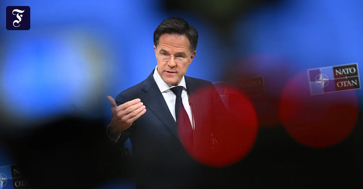 Liveblog USA unter TrumP: NATO-Generalsekretär Rutte in Washington erwartet