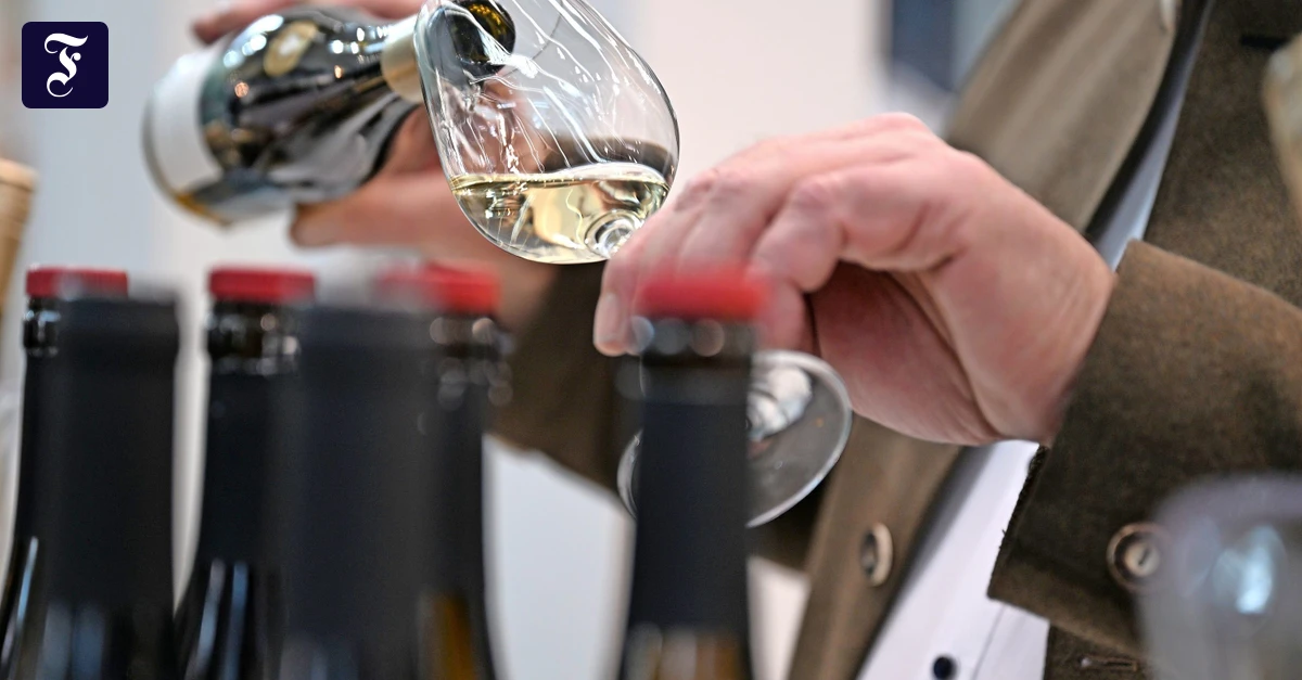 Hohe Zölle auf Weine: Donald Trump verhagelt den Winzern das Geschäft