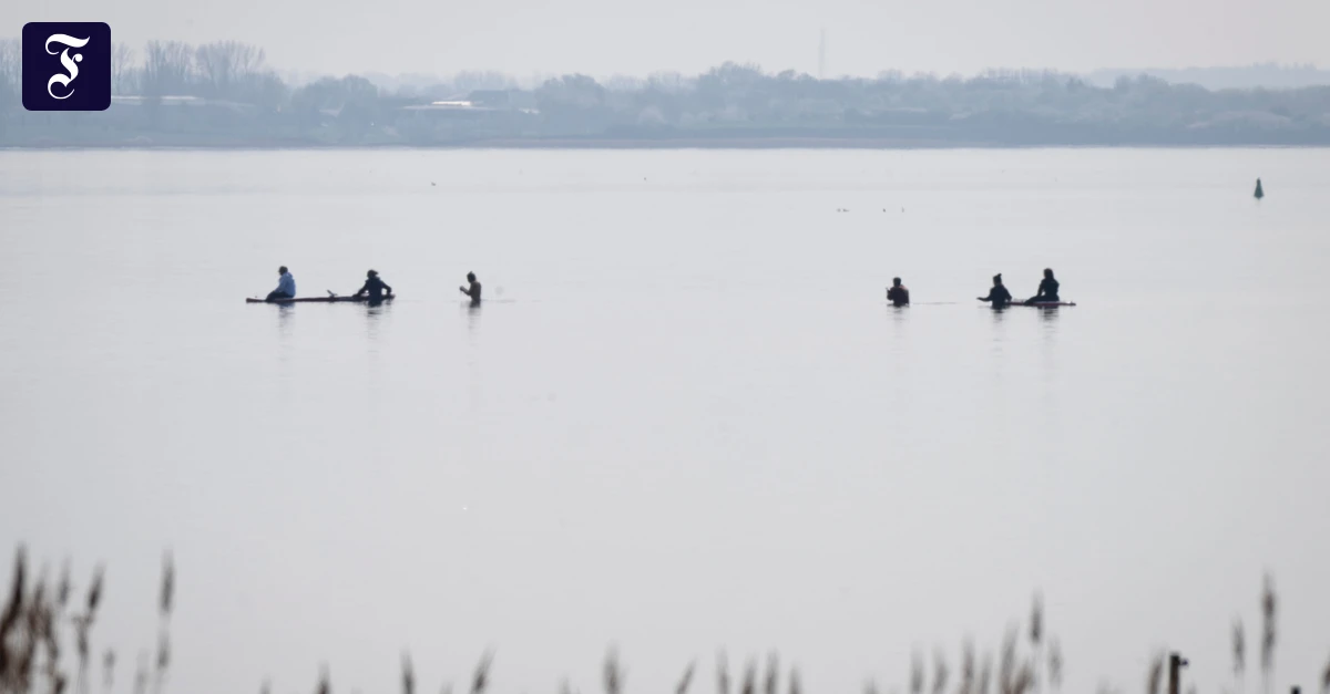 Rettungsaktion für Wal: „Wir wissen nicht, wie es ausgeht“