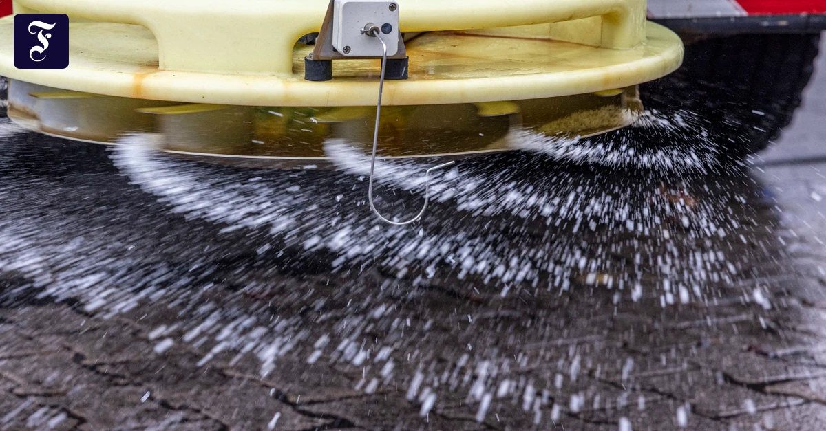 Urbane-kologie-Warum-Streusalz-die-B-den-stresst