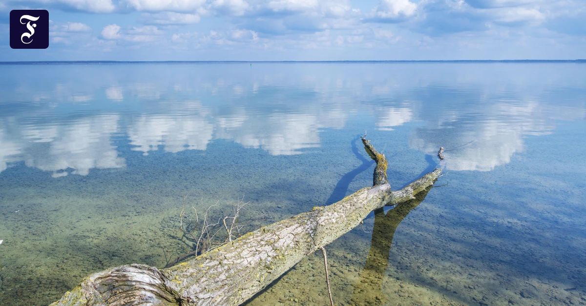 Roman „Das Wasser im August“: Wehmütig, aber nicht resigniert
