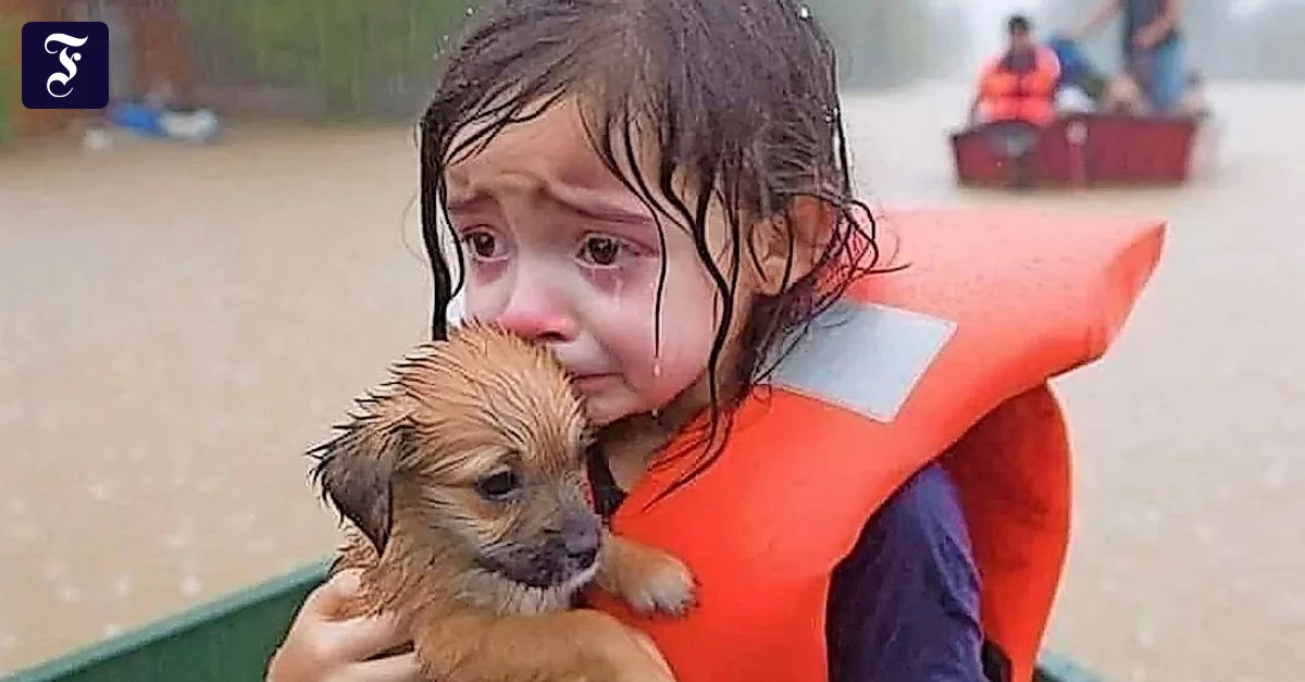 Künstliche Intelligenz: Ist das echt?