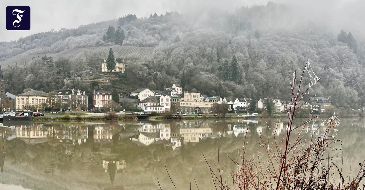 St-nde-im-Weinkeller-Unterirdischer-Weihnachtsmarkt-im-Labyrinth-der-Kellergew-lbe