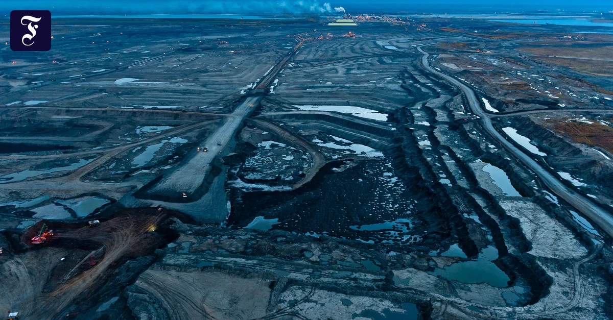 Klimaschutz-Das-Comeback-des-Erd-ls