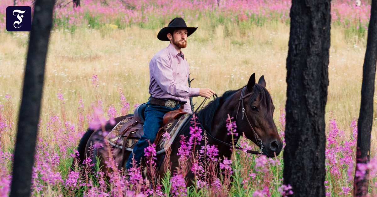Naturparadies in Kanada: Was muss passieren, damit ein Bär und ein Hase beieinander stehen und ins Feuer schauen?