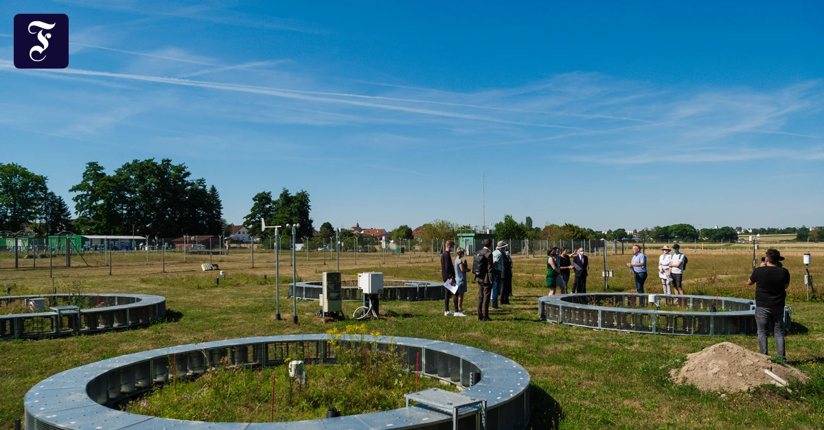 Opening in Giessen: Liebig Center conducts research on agriculture and forestry
