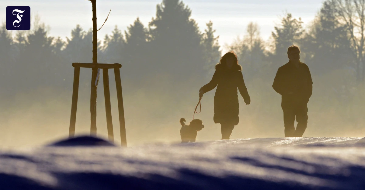 Tipps-von-Experten-Sind-10-000-Schritte-am-Tag-wirklich-ein-sinnvolles-Ziel-