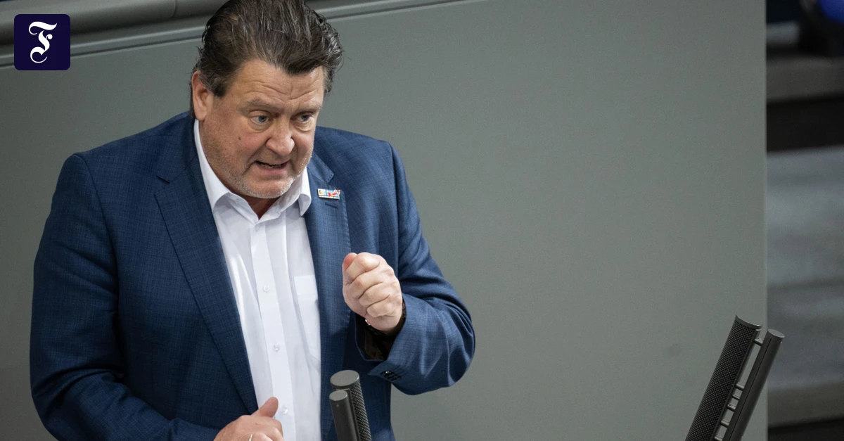 Werbung auf Youtube: Die AfD will ihre Plenarreden nicht mehr zu Geld machen