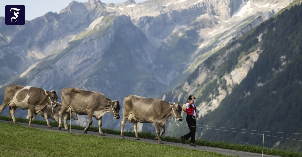 Ab-in-den-Urlaub-So-schonen-Sie-Ihre-Reisekasse