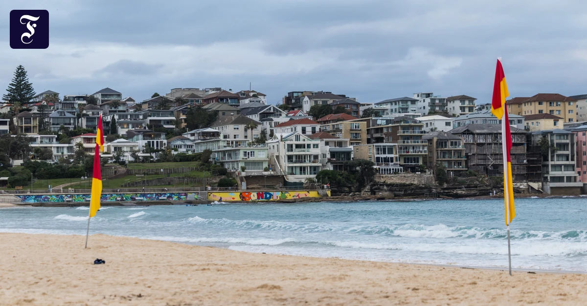 Australien: Bei Haiangriff in Sydney verletzte Frau ist aus Koma aufgewacht