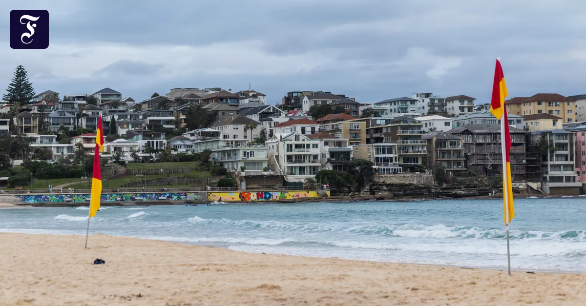 Sydney: Woman injured in shark attack wakes up from coma