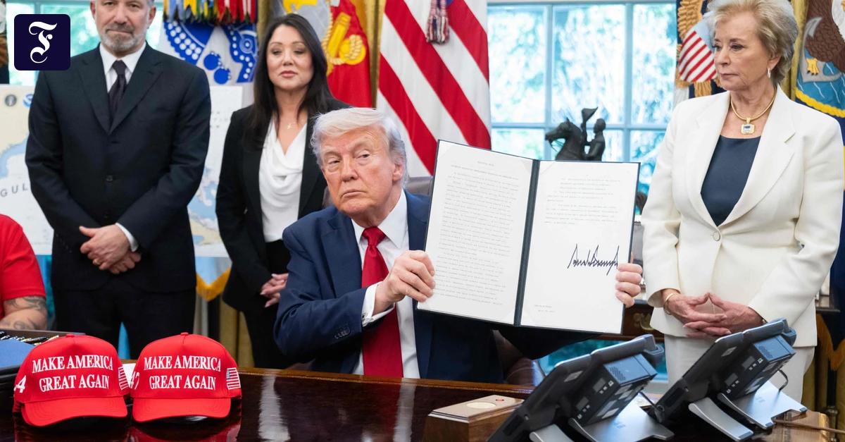 Trumps Angriff auf die Forschung: Die Axt am Fundament der Wissenschaft