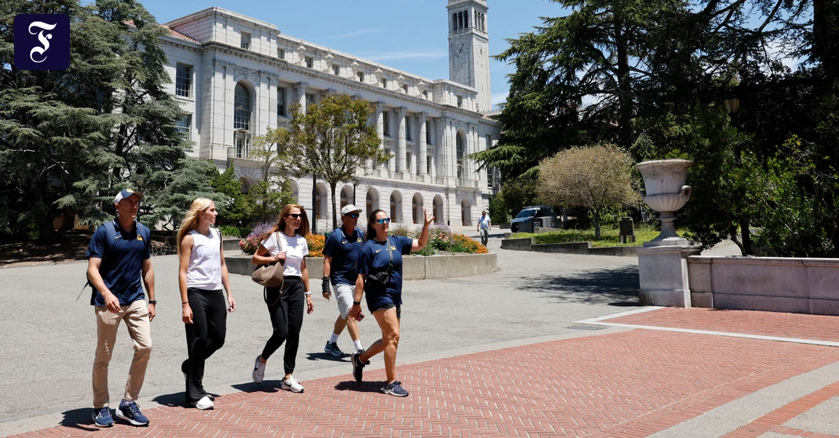 KI im Studium: Warum Studenten in Berkeley wegen ChatGPT durchfallen