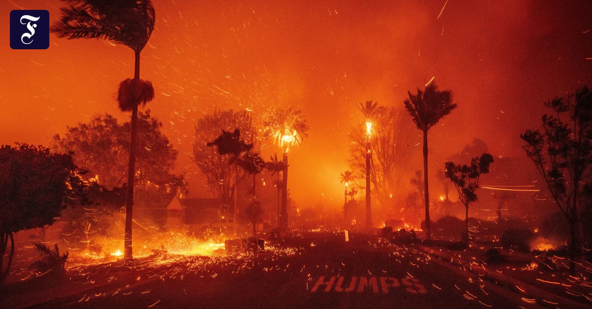 jahrestag-der-feuer-in-l-a-eine-stadt-tr-gt-trauer