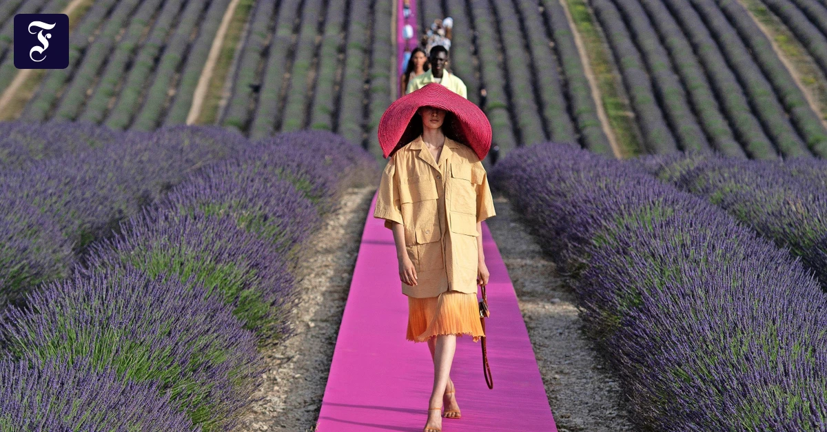 Catwalk-Ausstellung-Nur-diese-f-nfzehn-Minuten