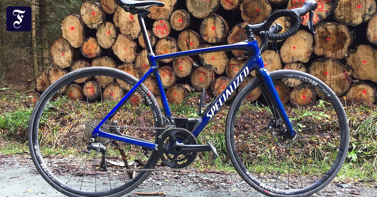 rennrad vintage shop Pinarello Retro Rennrad  Campagnolo Veloce, Restauriert, Klassisches  Design  Bici No.1