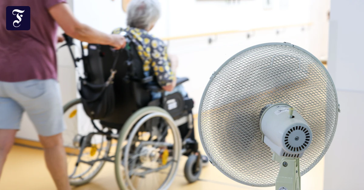 Hitze-Liveblog: Hausärzte werfen Bundesregierung Versagen beim Hitzeschutz vor