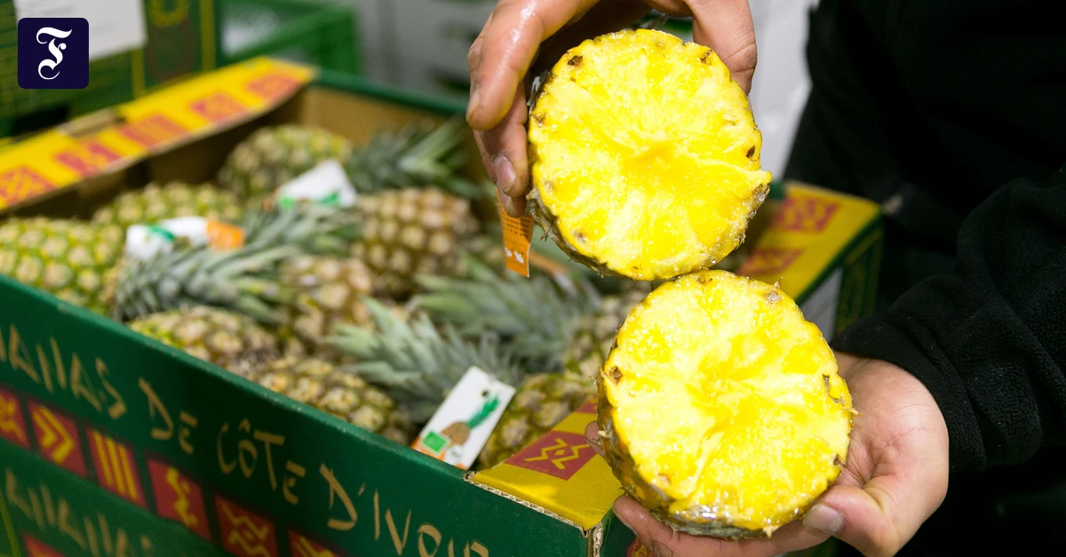 Geht doch?: Warum sich frische Ananas nicht mit Pudding verträgt