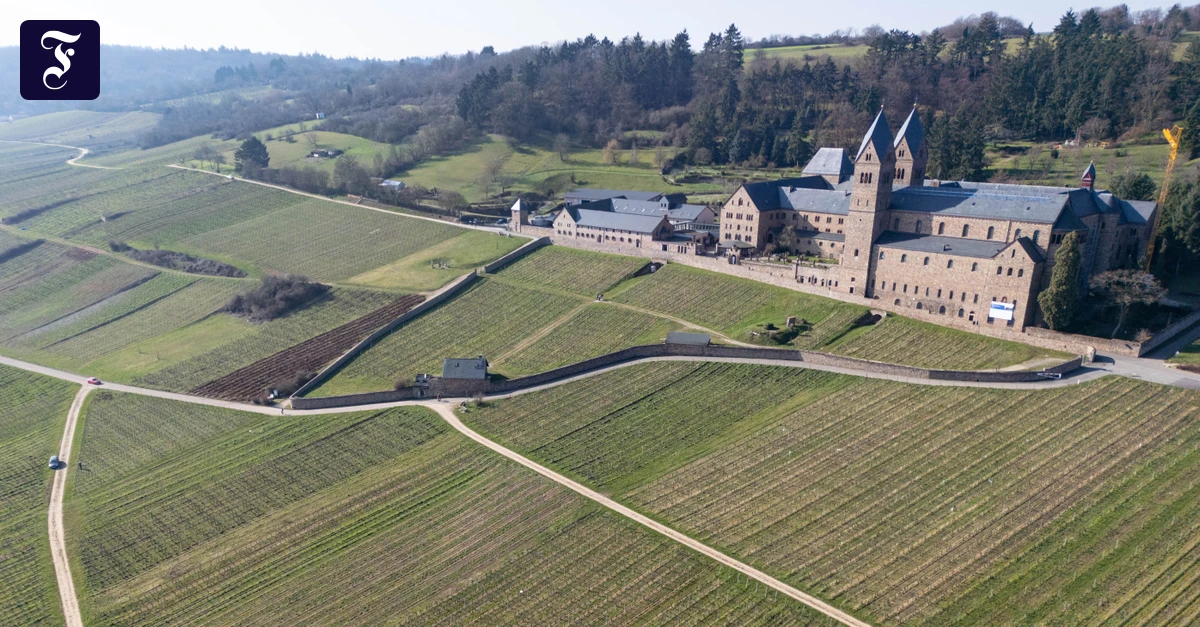 Rheingau verliert Gäste: Qualität und Spitzenevents sollen Besucher anziehen