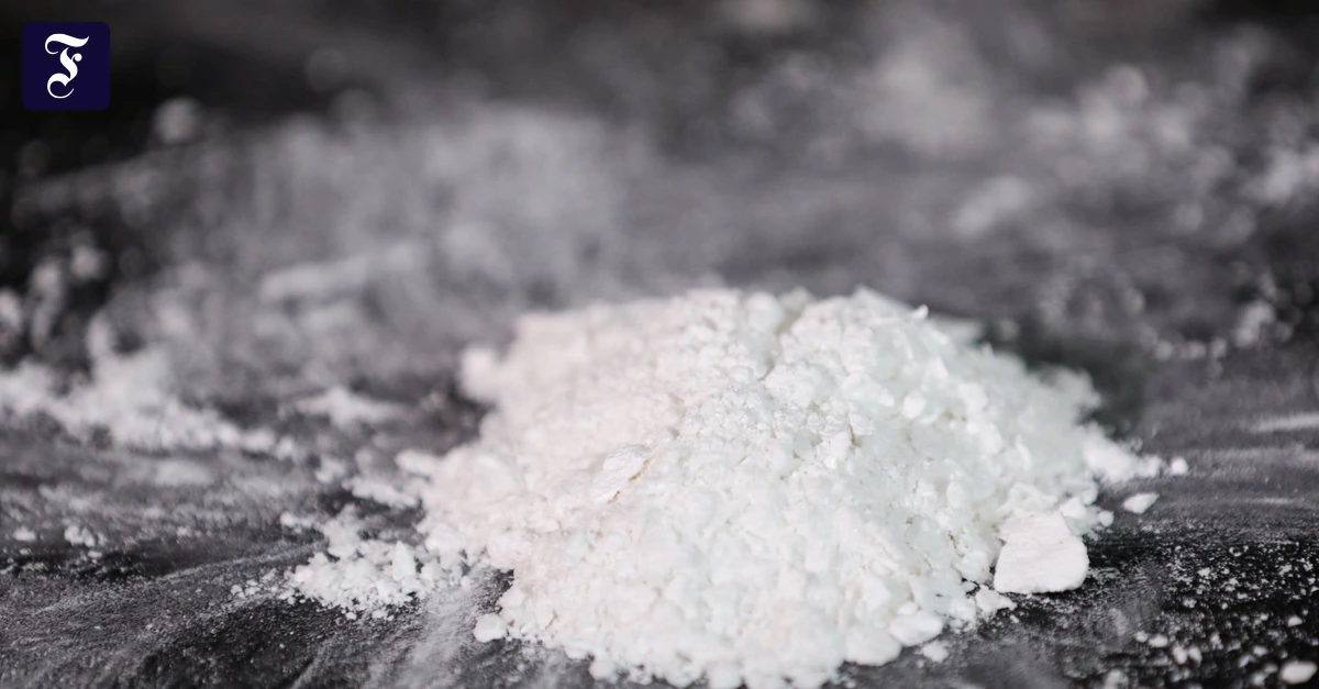 Frankfurter Flughafen: Spürhund Fly erschnüffelt 20 Kilo Koks im Koffer