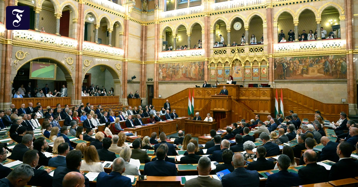 Ungarns neue Verfassung: Magyars Fegefeuer
