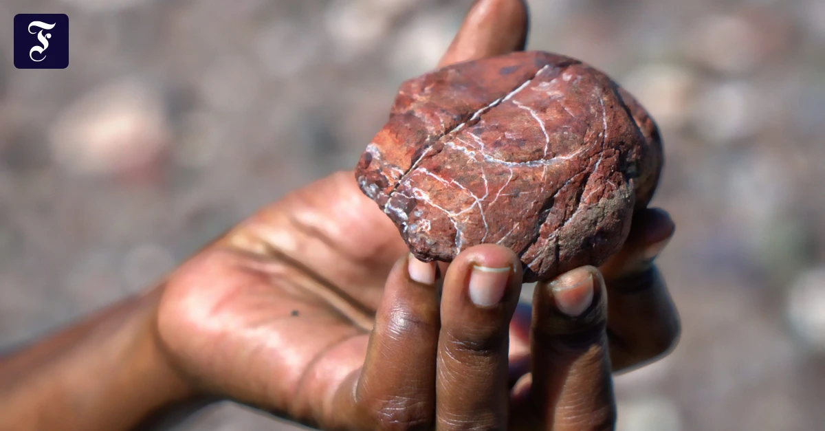 Geheimnisse-der-Karibik-Schmuckst-ck-im-Ozean