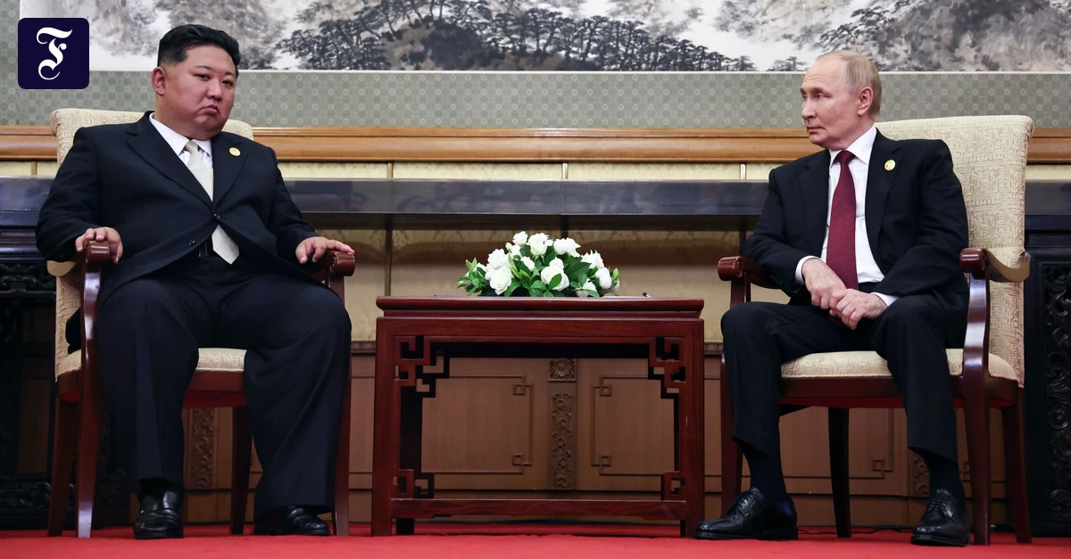 Autoritäre Staaten: Handeln Diktatoren wirklich gegen den Willen ihrer Bürger?