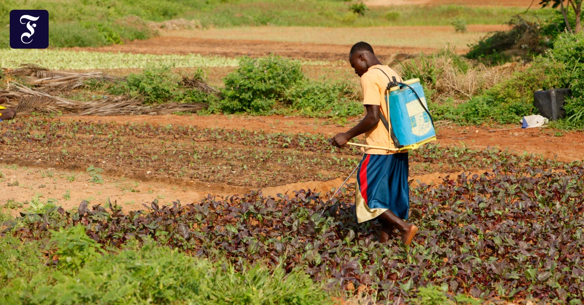 Pestizide in der Landwirtschaft: Effektiver und gefährlicher