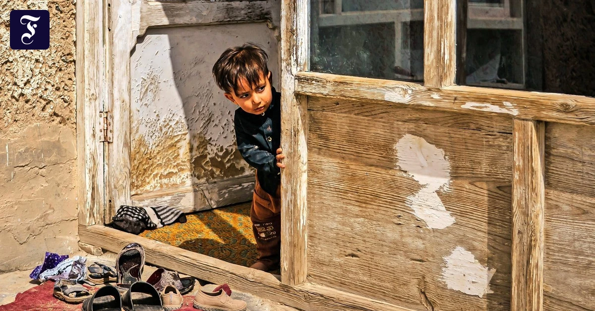 Kindheit im Kalifat: Im Säurebad des Fanatismus