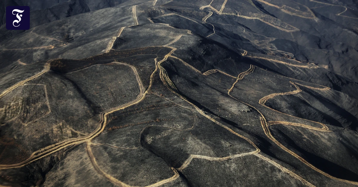 Nach-den-Waldbr-nden-in-Spanien-Der-Regen-bringt-neue-Probleme