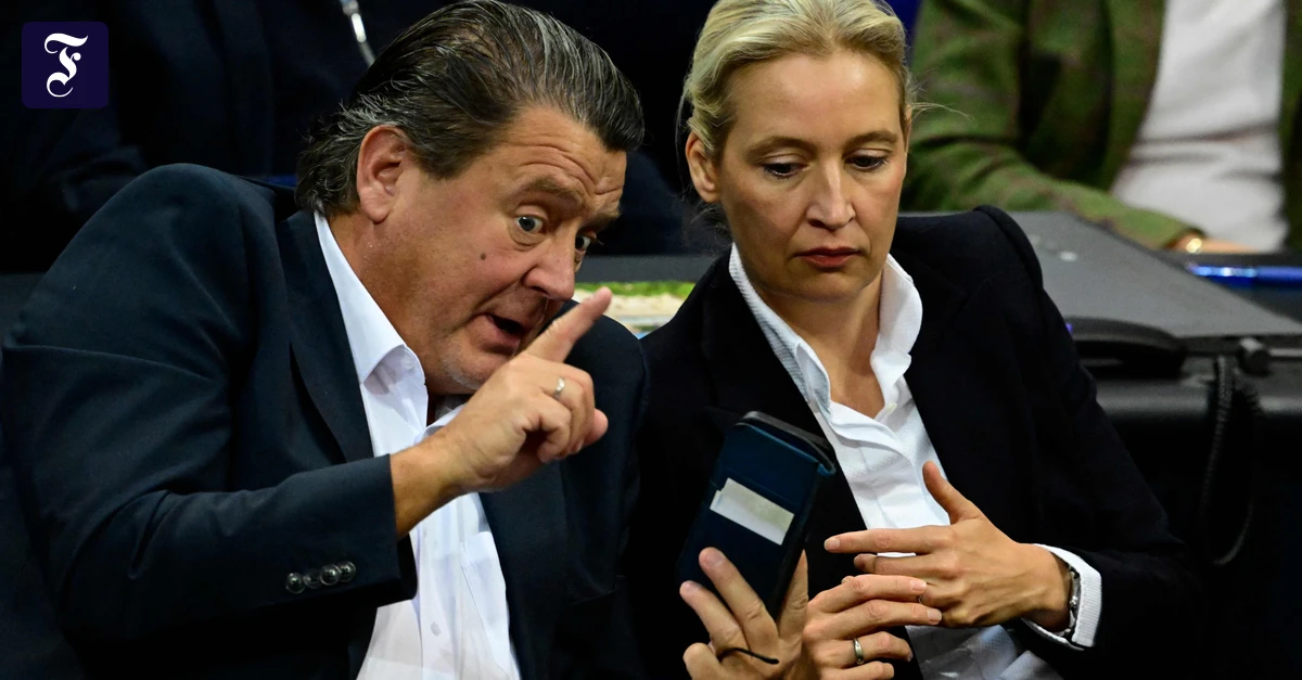 Nach-Vorbild-von-ICE-Warum-die-AfD-gerne-eine-Abschiebepolizei-h-tte